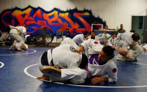 What Is Brazilian Jiu-jitsu? Berks County Brazilian Jiu-jitsu Academy